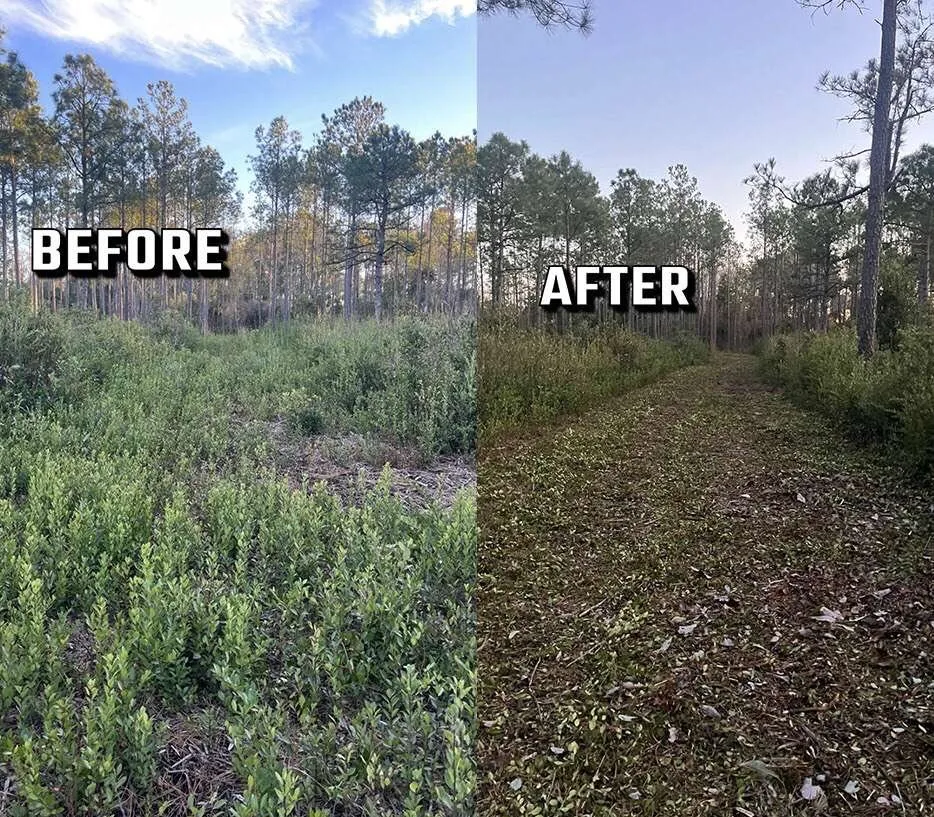 Professional yard cleanup service for outdoor upgrades in Wilmington, NC by Donathan Landscaping and Hauling