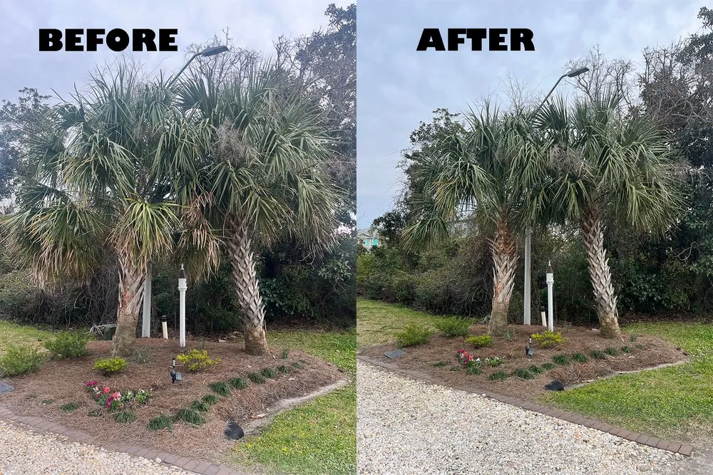 Expert yard maintenance in Wilmington, NC by Donathan Landscaping and Hauling