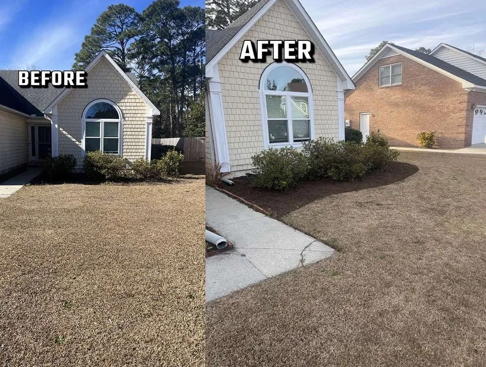 Affordable outdoor landscaping for homes in Wilmington, NC by Donathan Landscaping and Hauling