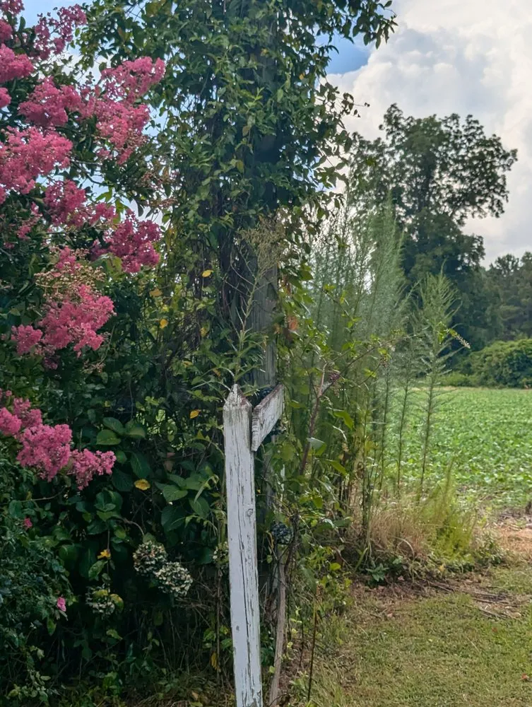 Top-rated residential landscaping near you across Wilmington, NC - Donathan Landscaping and Hauling