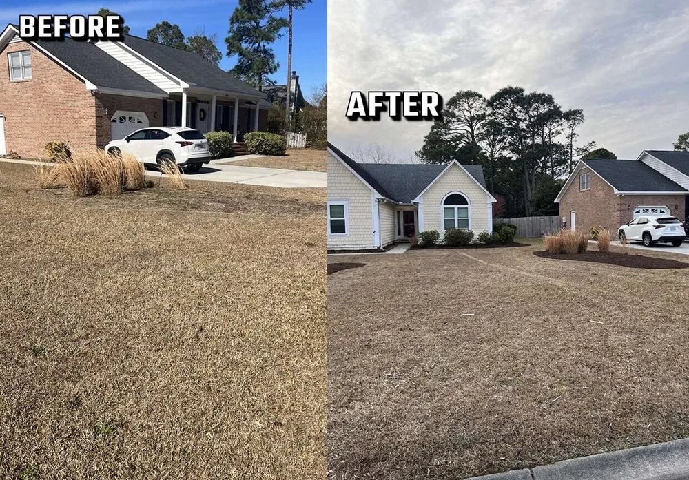 Professional yard cleanup service experts serving Wilmington, NC - Donathan Landscaping and Hauling