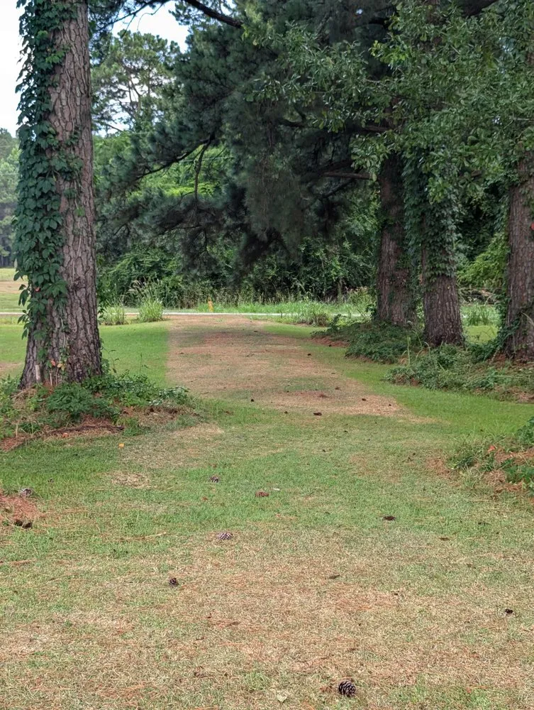 Trusted yard maintenance with custom design across Wilmington, NC - Donathan Landscaping and Hauling