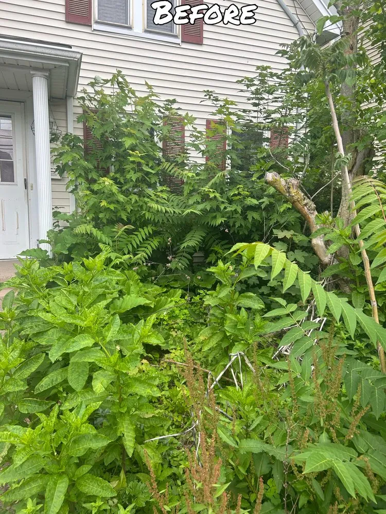 Expert landscaping services for beautiful yards in Arlington, MA by Donato Bros Landscaping