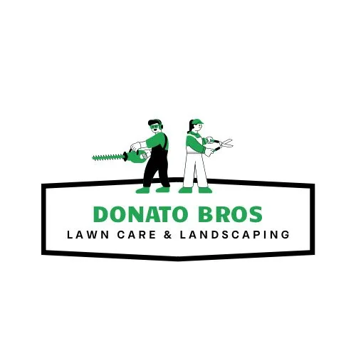 Affordable yard cleanup service for year-round maintenance in Arlington, MA by Donato Bros Landscaping