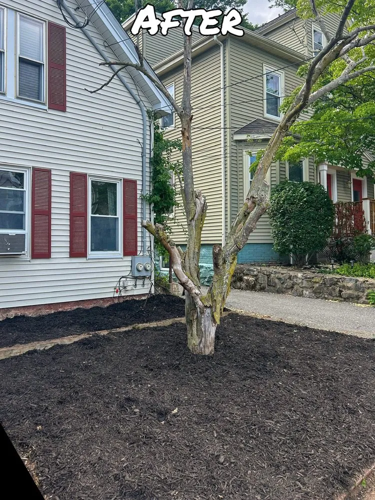 Custom landscape design for beautiful yards across Arlington, MA - Donato Bros Landscaping