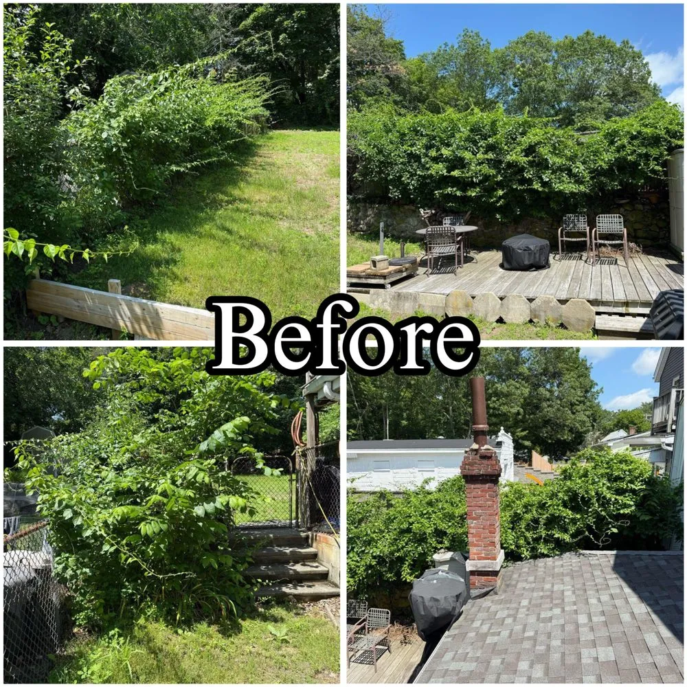 Affordable landscaping services near you in Arlington, MA by Donato Bros Landscaping