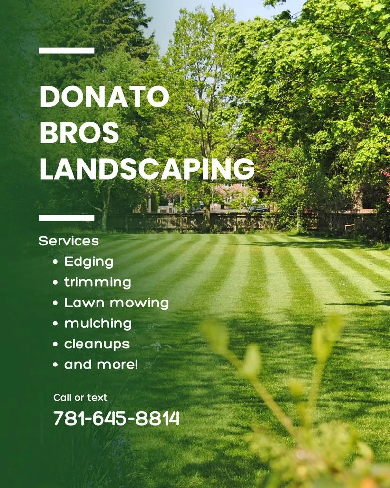 Top-rated yard cleanup service experts serving Arlington, MA - Donato Bros Landscaping