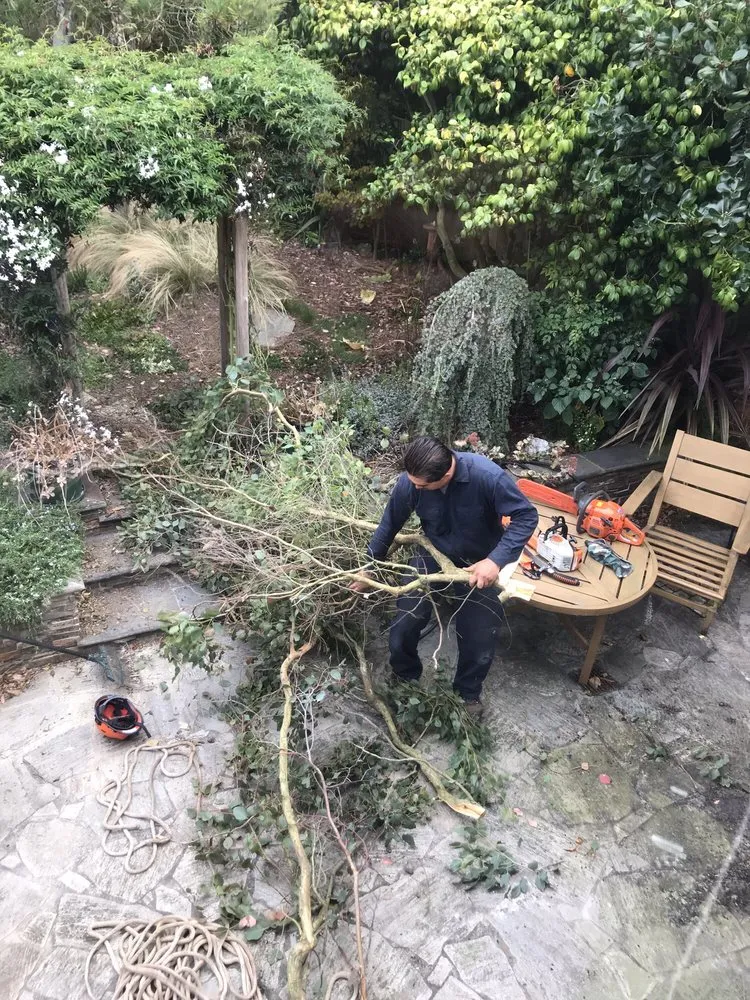 Affordable residential landscaping experts serving Daly City, CA - Donato Gardening