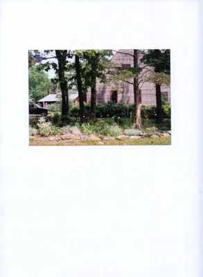 Dondero Landscaping Logo