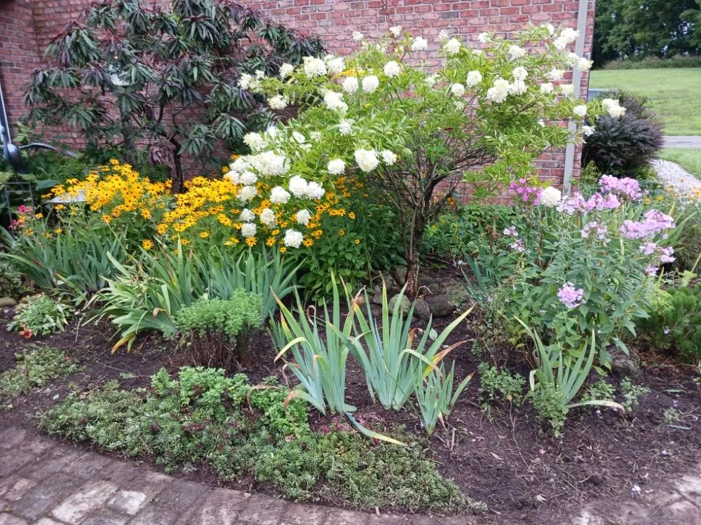 Trusted yard maintenance in Battle Creek, MI by Done and Done Lawncare and Home Improvement