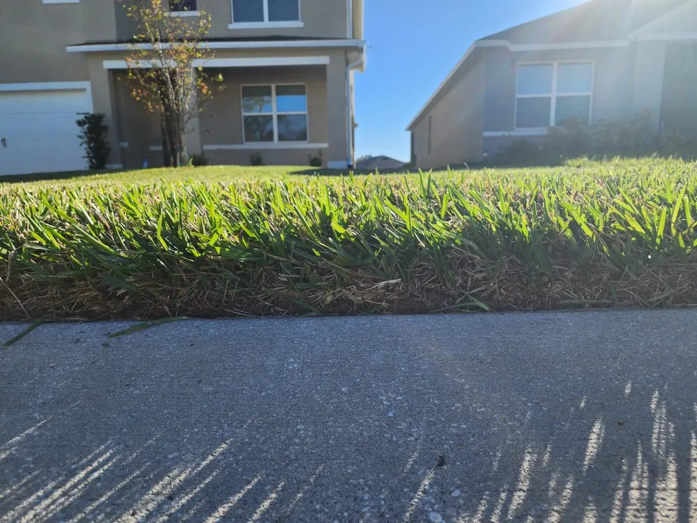 Professional yard maintenance in Deltona, FL by Done By Derek & Beyond