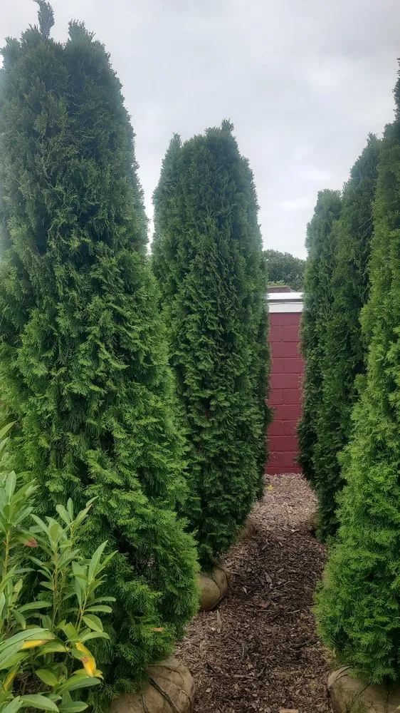 Professional outdoor landscaping with custom design across Kearny, NJ - Done Deal Landscaping & Design Contractor