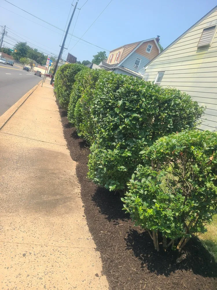 Custom landscape installation for outdoor upgrades in Kearny, NJ by Done Deal Landscaping & Design Contractor