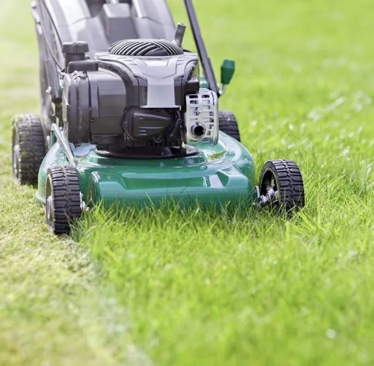 Affordable outdoor landscaping in Brockton, MA - Done For You Landscaping