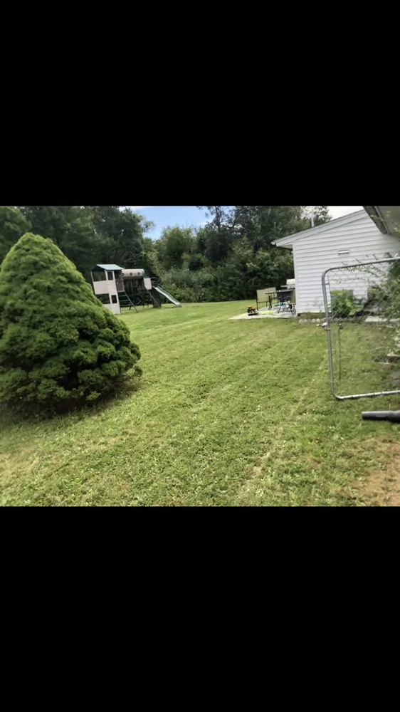 Professional lawn care service in Brockton, MA by Done For You Landscaping