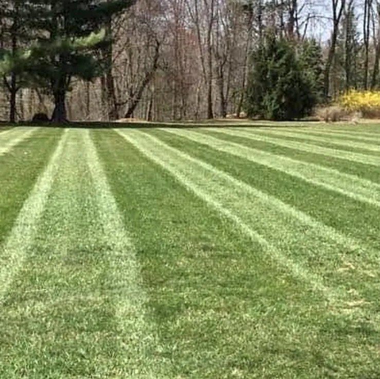 Professional lawn care service in Brockton, MA by Done For You Landscaping