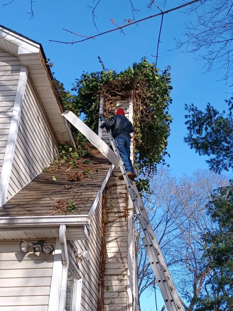 Trusted yard maintenance for outdoor upgrades across Mastic, NY - Done it All HandyMan