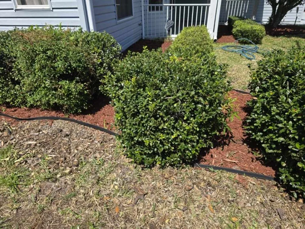 Trusted landscape installation in Fort MCcoy, FL - Done Right Handyman Services