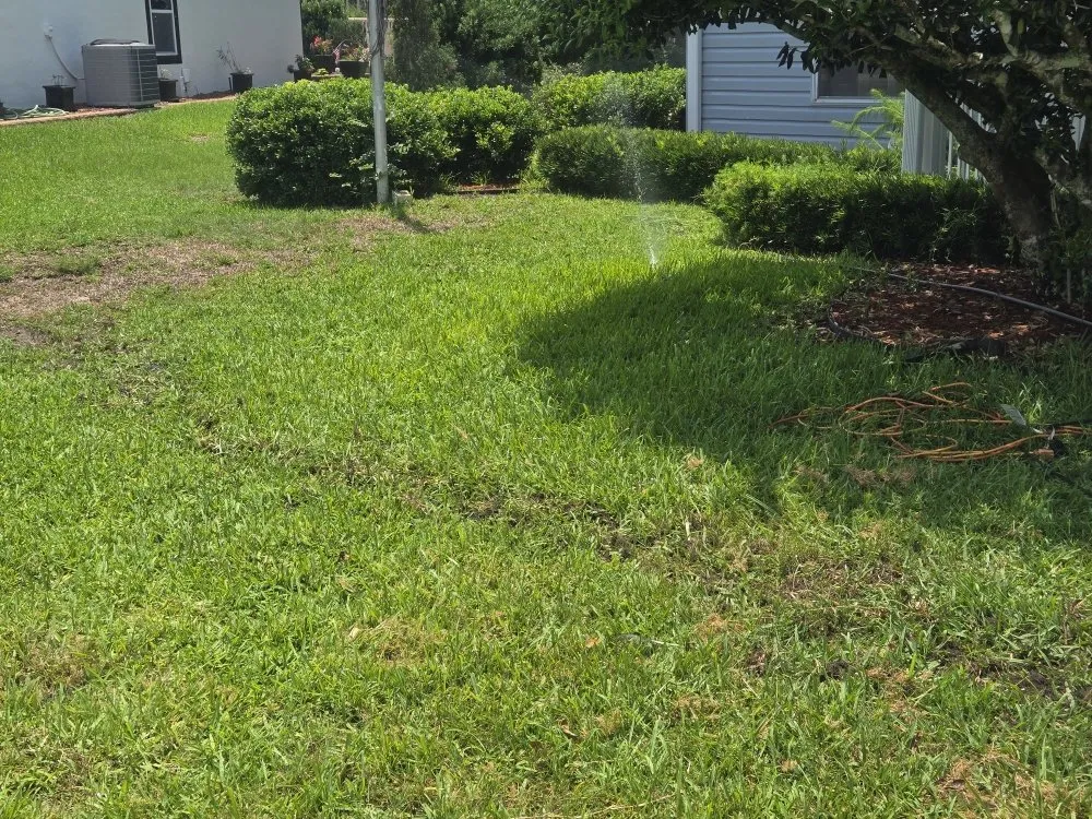 Expert landscape design in Fort MCcoy, FL - Done Right Handyman Services