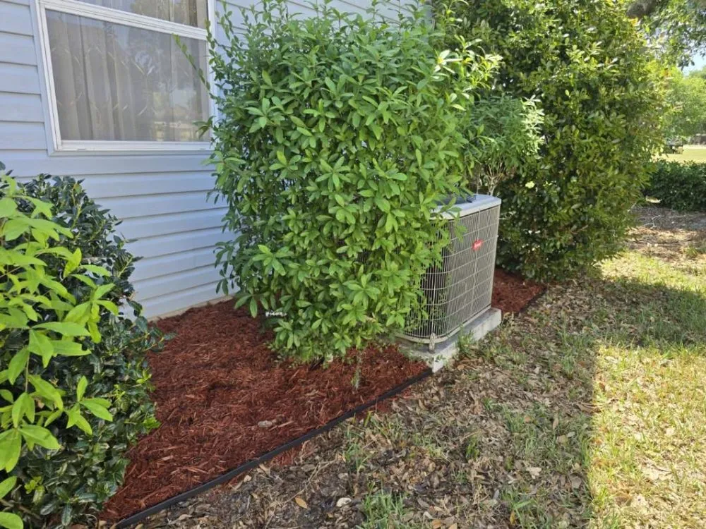 Professional garden landscaping experts serving Fort MCcoy, FL - Done Right Handyman Services