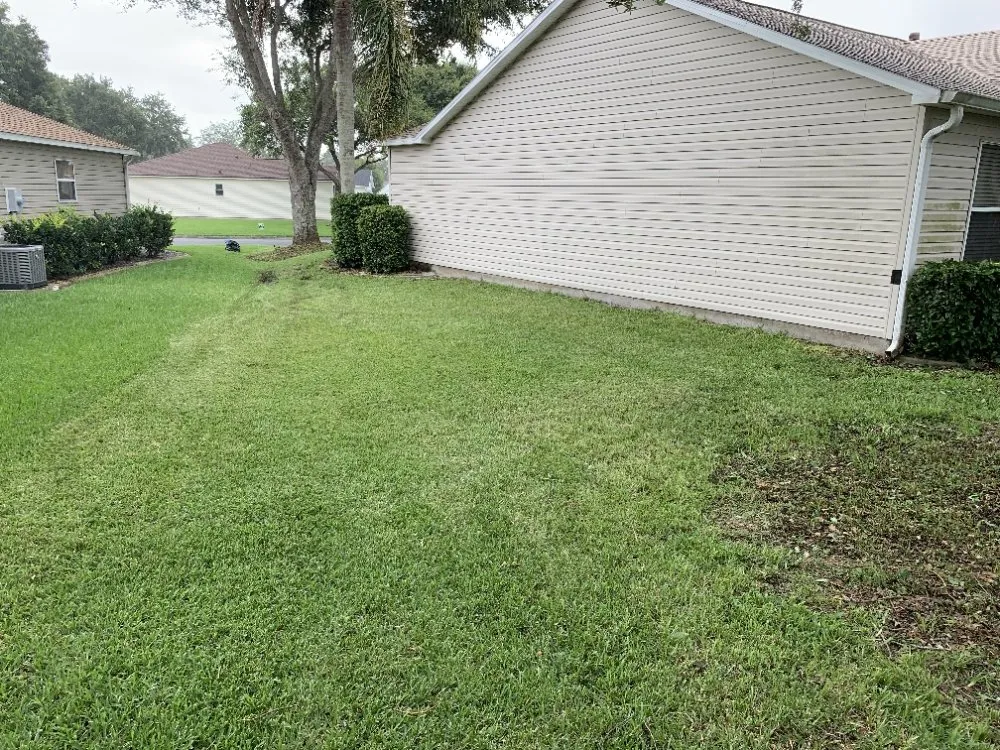 Expert yard cleanup service in Fort MCcoy, FL - Done Right Handyman Services