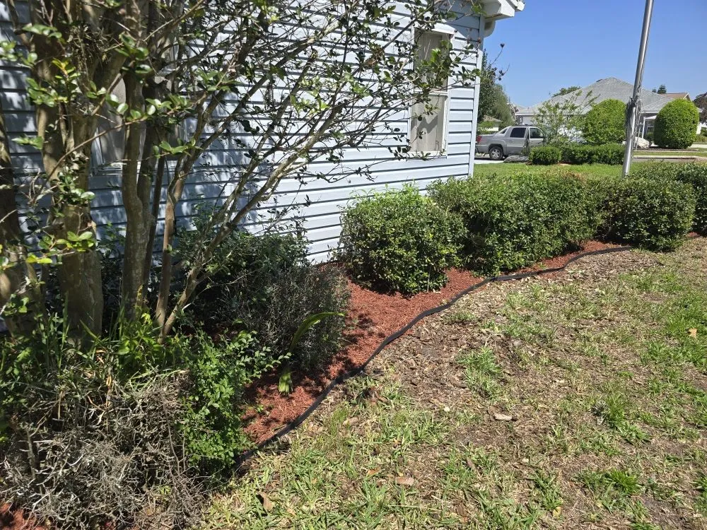 Reliable outdoor landscaping near you in Fort MCcoy, FL by Done Right Handyman Services