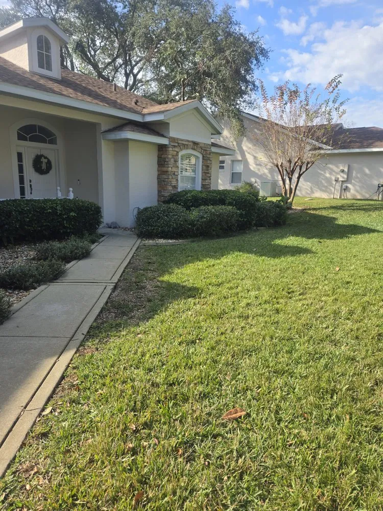 Professional yard cleanup service in Fort MCcoy, FL - Done Right Handyman Services