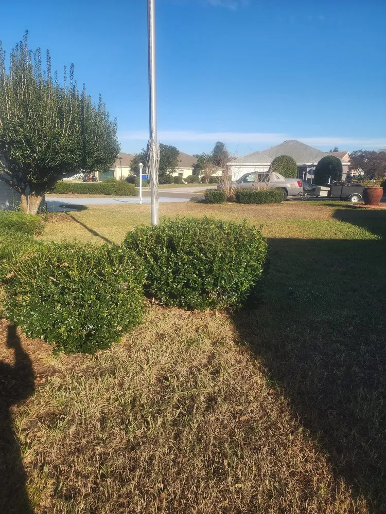 Professional residential landscaping experts serving Fort MCcoy, FL - Done Right Handyman Services