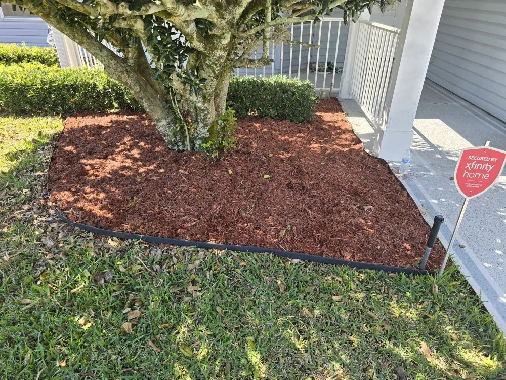 Trusted lawn care service for residential properties in Fort MCcoy, FL by Done Right Handyman Services