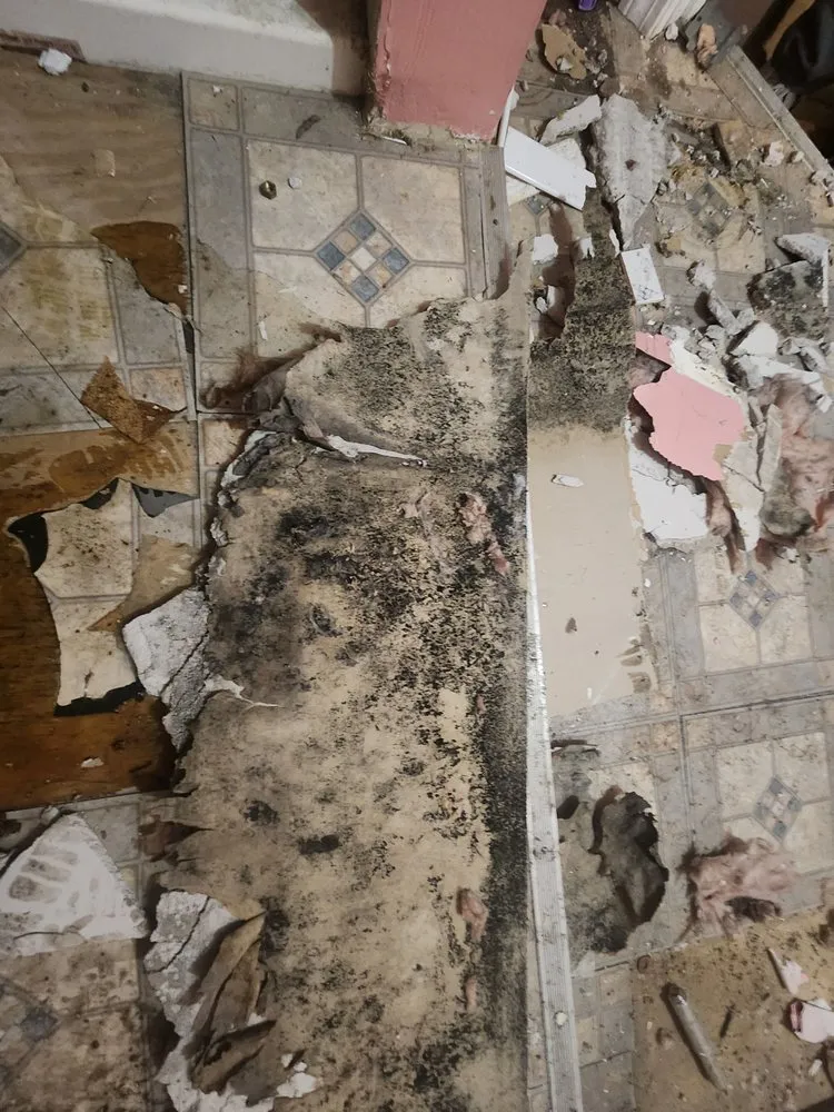 Affordable garden landscaping for outdoor upgrades across Campton, NH - Done Right Home & Property Services