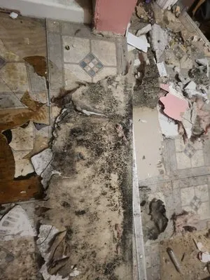 Done Right Home & Property Services