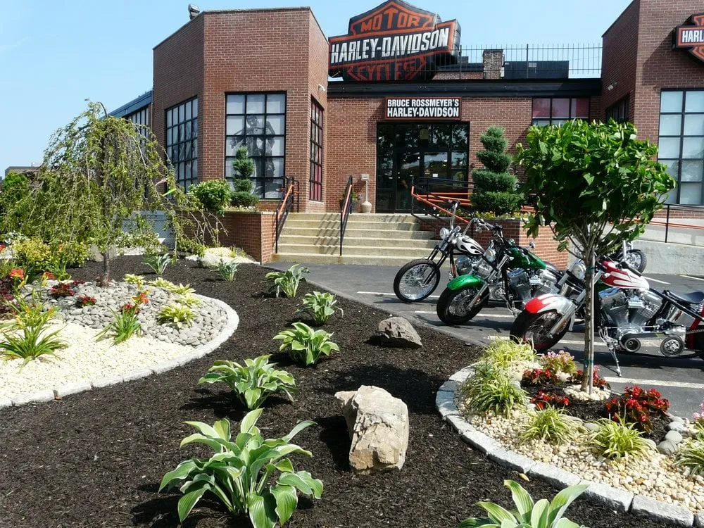 Professional lawn mowing service in Boston, MA by Done Right Landscape & Construction