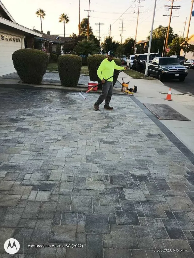 Professional yard cleanup service experts serving Castaic, CA - Done Right Landscape