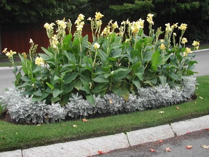 Top-rated residential landscaping with custom design in Newton, MA by Done Right Landscape