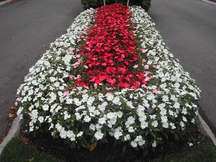 Reliable landscaping services in Newton, MA by Done Right Landscape