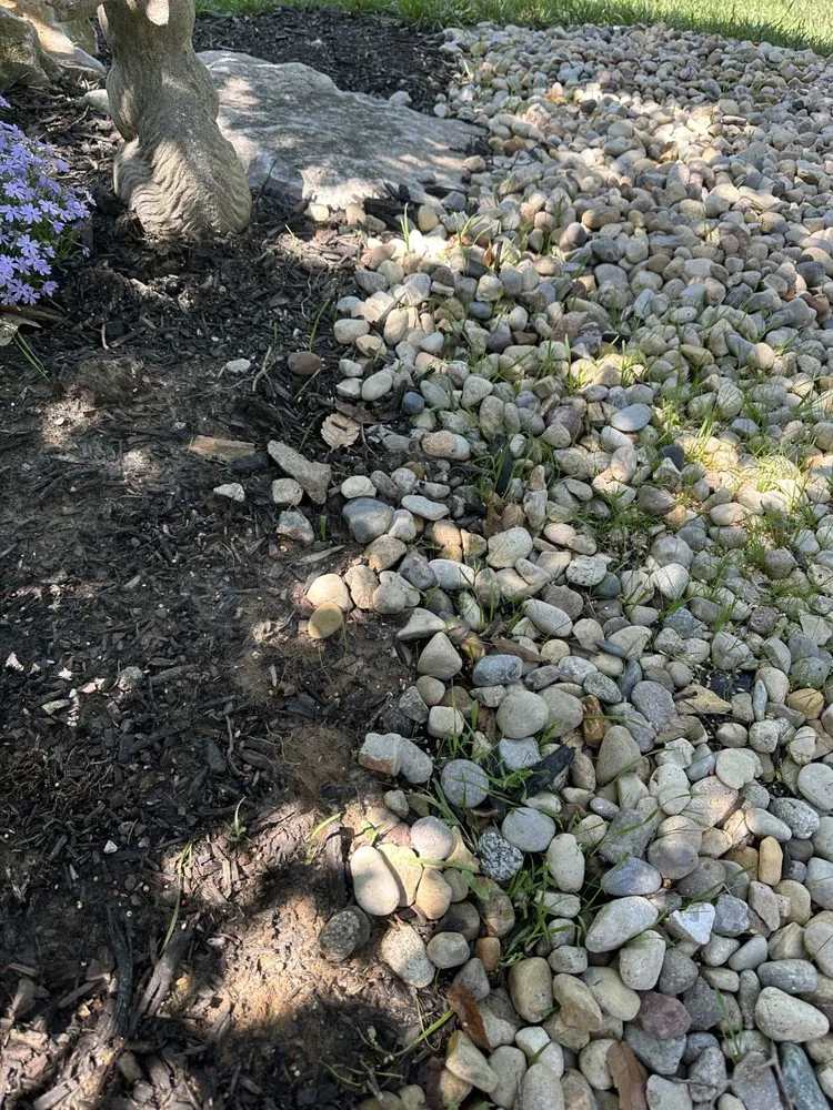 Expert yard maintenance in St. Peters, MO by Done Right Landscapes