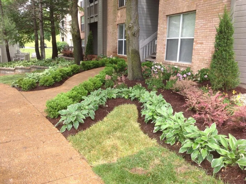 Reliable lawn care service experts serving St. Peters, MO - Done Right Landscapes