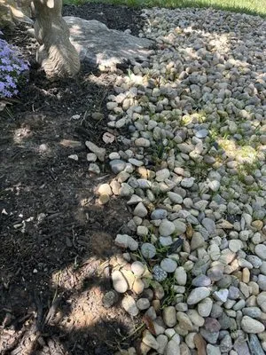 Done Right Landscapes