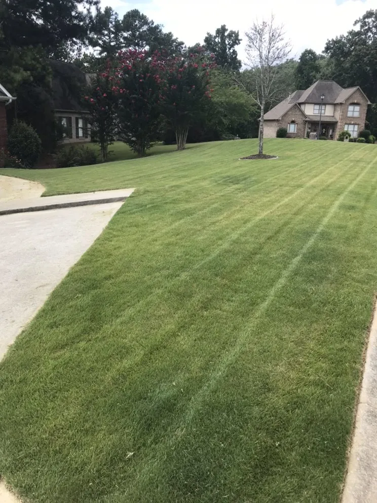 Top-rated yard maintenance in Birmingham, AL by Done Right Landscaping
