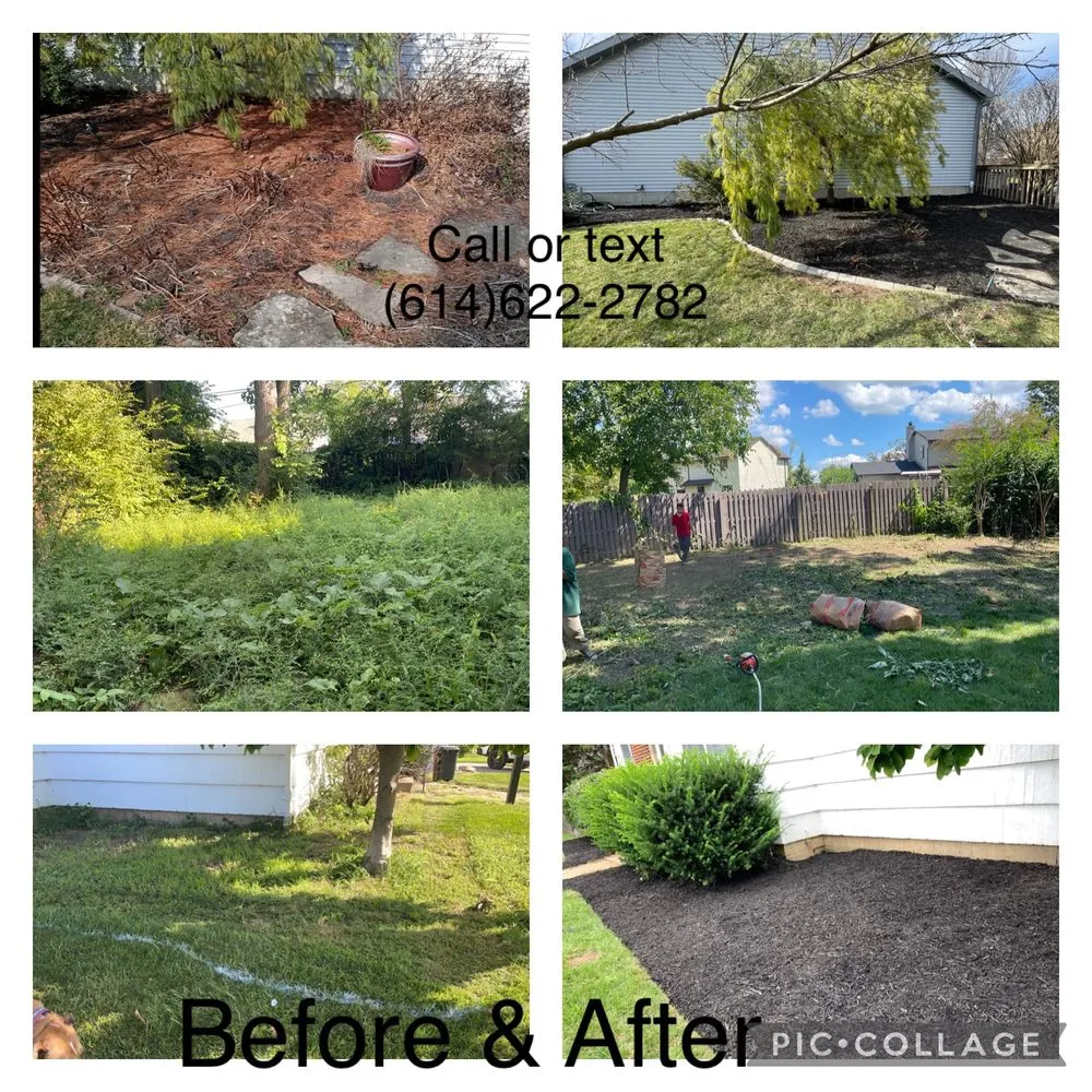 Professional lawn care service for outdoor upgrades in Columbus, OH by done right landscaping
