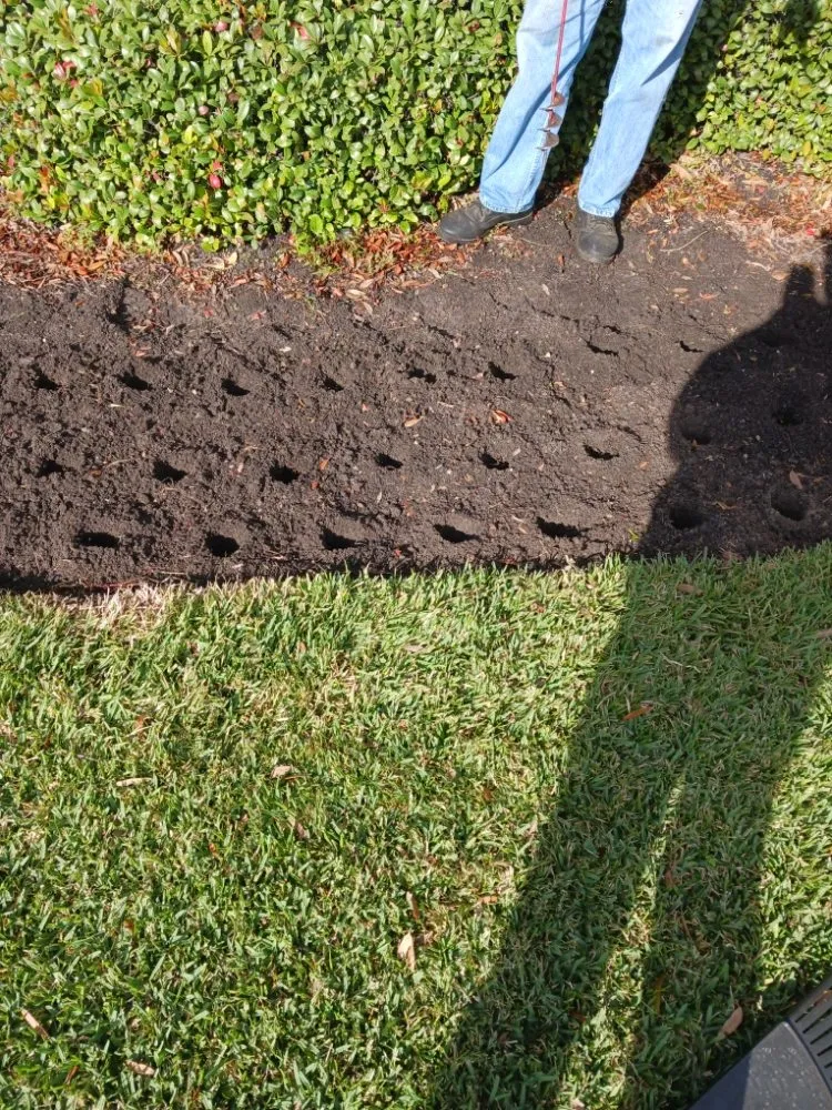 Affordable lawn care service in Umatilla, FL - Done Right Lawn & Landscaping