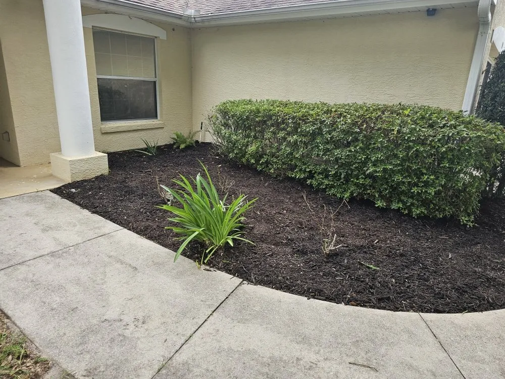 Affordable garden landscaping for residential properties across Umatilla, FL - Done Right Lawn & Landscaping