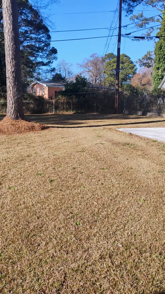 Custom yard maintenance in Gaston, SC by Done Right Lawn Care