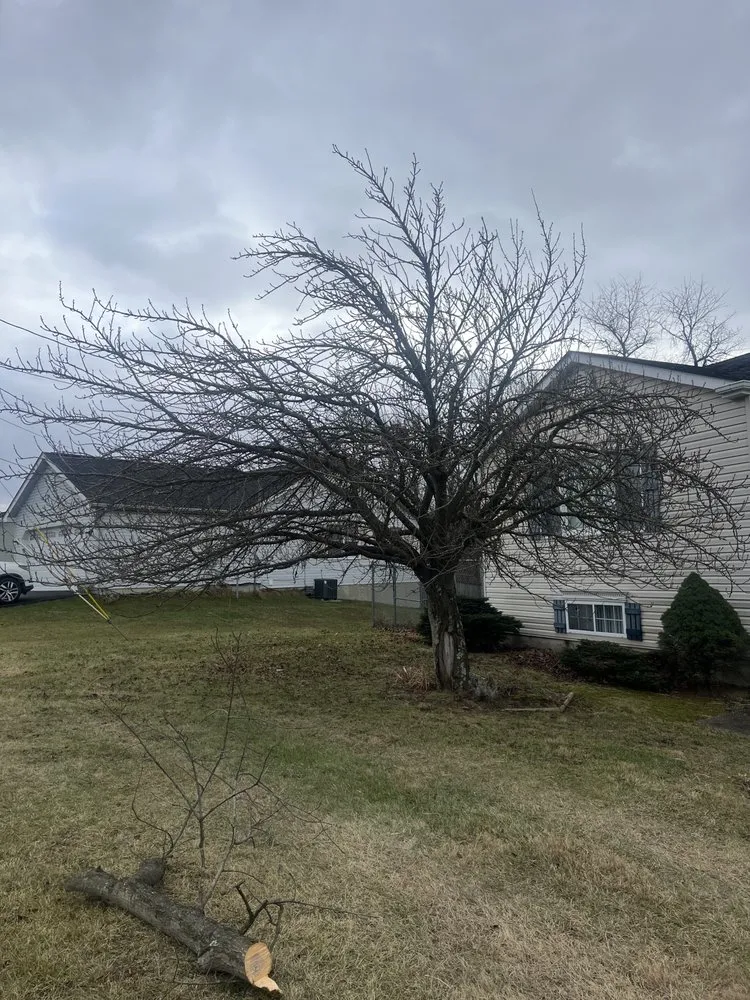Trusted yard maintenance in Kearneysville, WV - Done Right Lawn Care