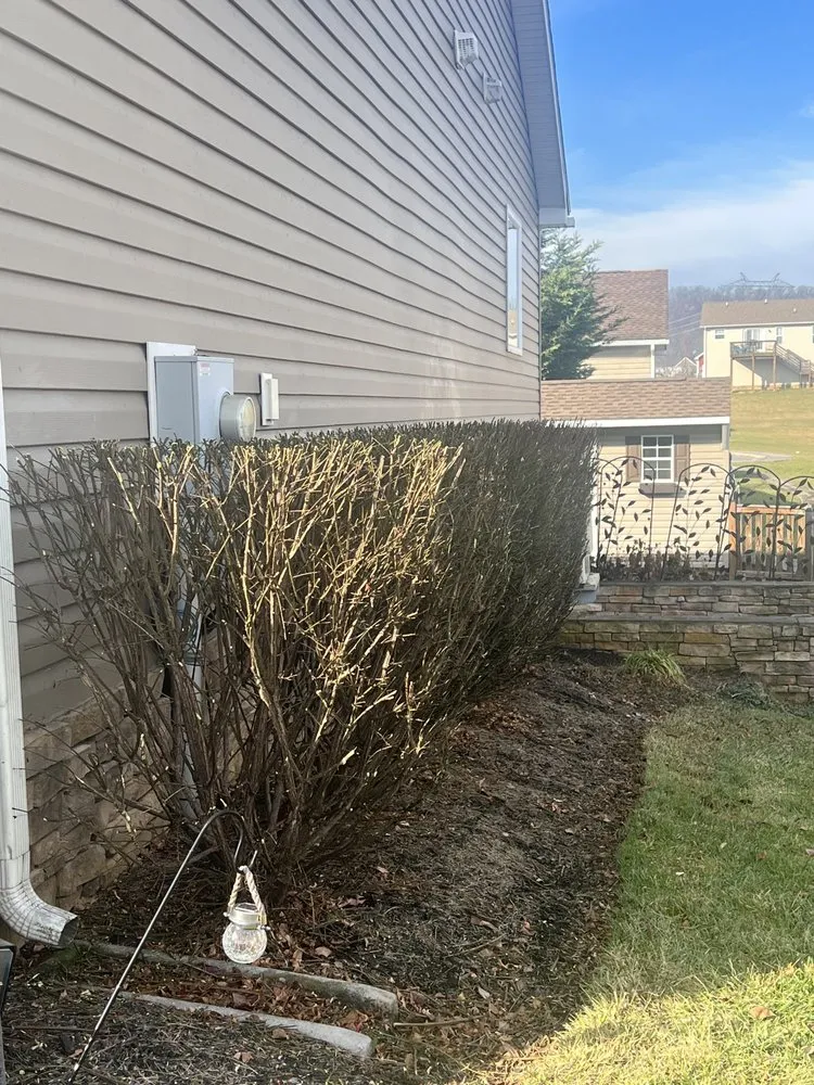 Reliable lawn care service in Kearneysville, WV - Done Right Lawn Care