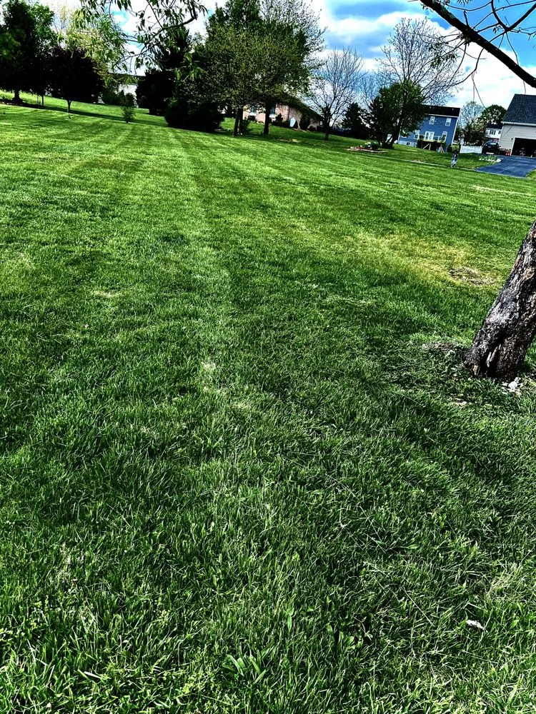 Custom residential landscaping for beautiful yards across Kearneysville, WV - Done Right Lawn Care
