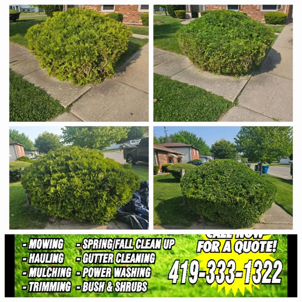 Local lawn mowing service experts serving Toledo, OH - Done Right Lawn Care
