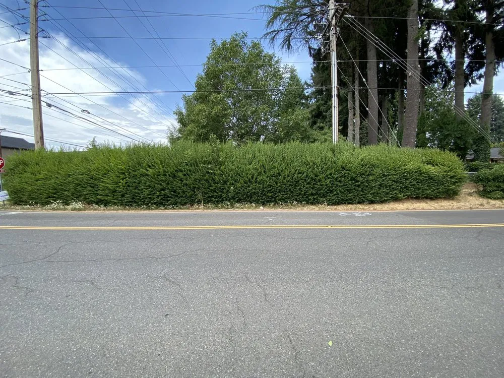 Trusted yard cleanup service for year-round maintenance in Vancouver, WA by Done Right Lawn Services