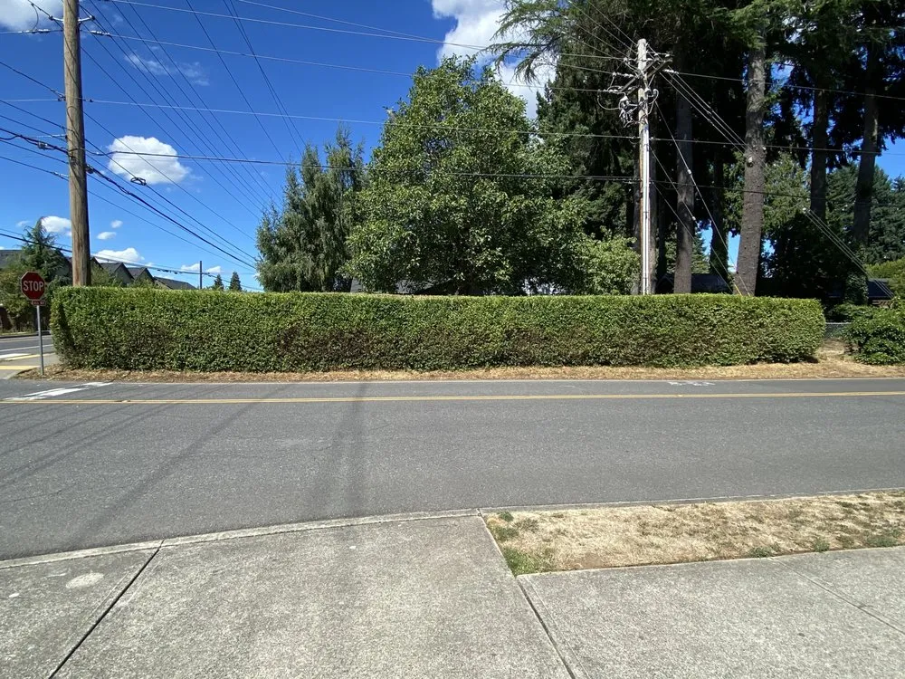 Expert yard cleanup service in Vancouver, WA by Done Right Lawn Services
