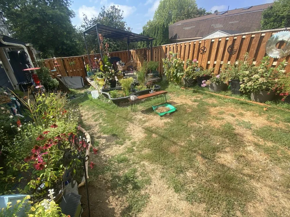 Local yard maintenance in Vancouver, WA by Done Right Lawn Services